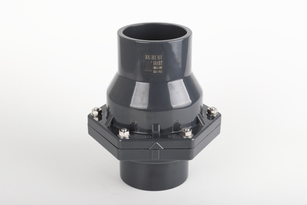 普兰店翻板式止回阀