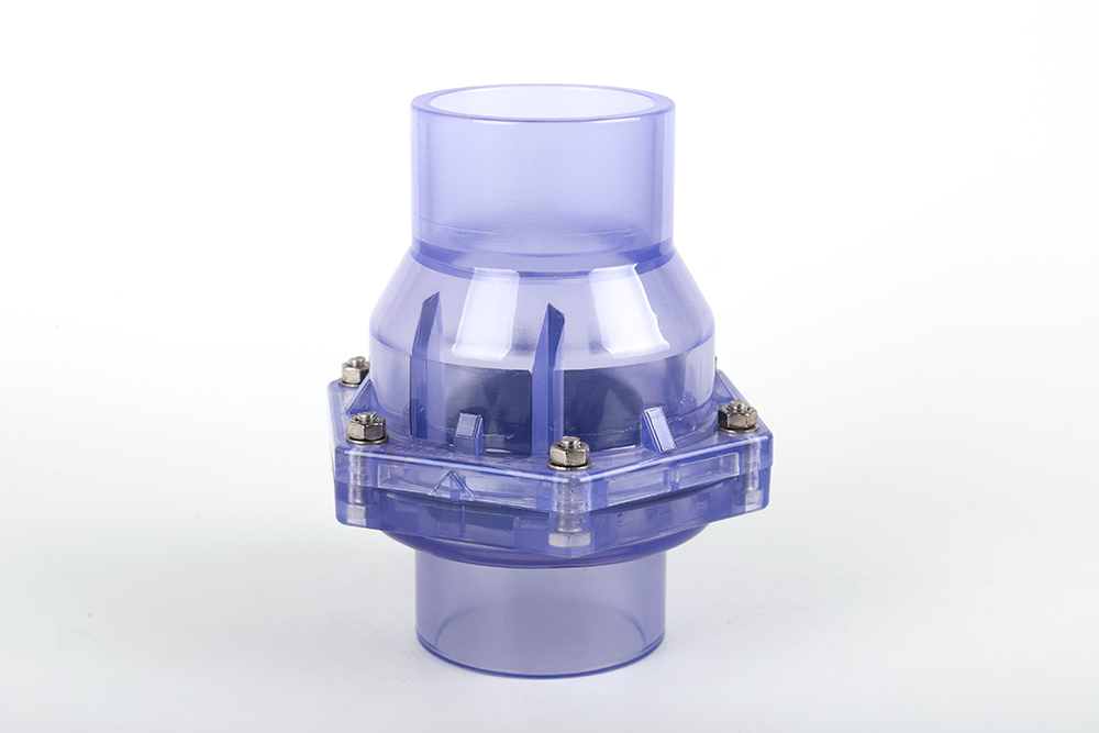 普兰店透明翻板式止回阀